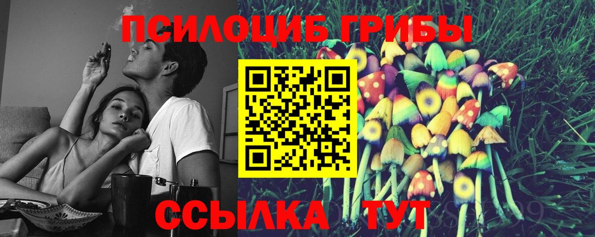 Бошки Шишки Муром