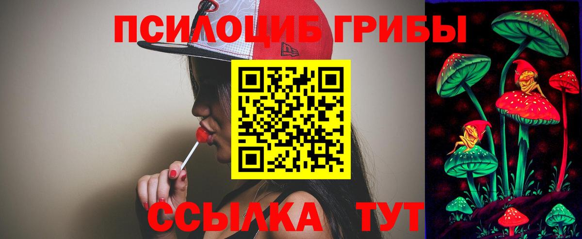 Муром  Псилоцибиновые грибы ЛСД  купить наркотик  Вход с VPN 